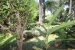 13-5fd73dea700db77384c091ca9818b1a9.jpg
