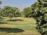21-2c707e7c511429b4f8ec4ee5f221ddb6.jpg