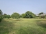 31-5e8b9eb86a2d455eeaf43a7bbf3ccd12.jpg