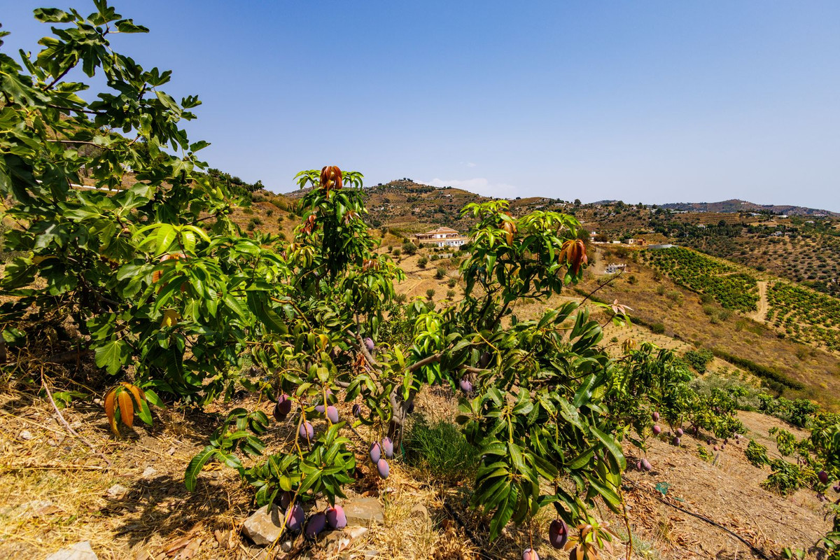 Te koop Vrijstaande Villa Costa Del Sol Sayalonga € 260.000,-