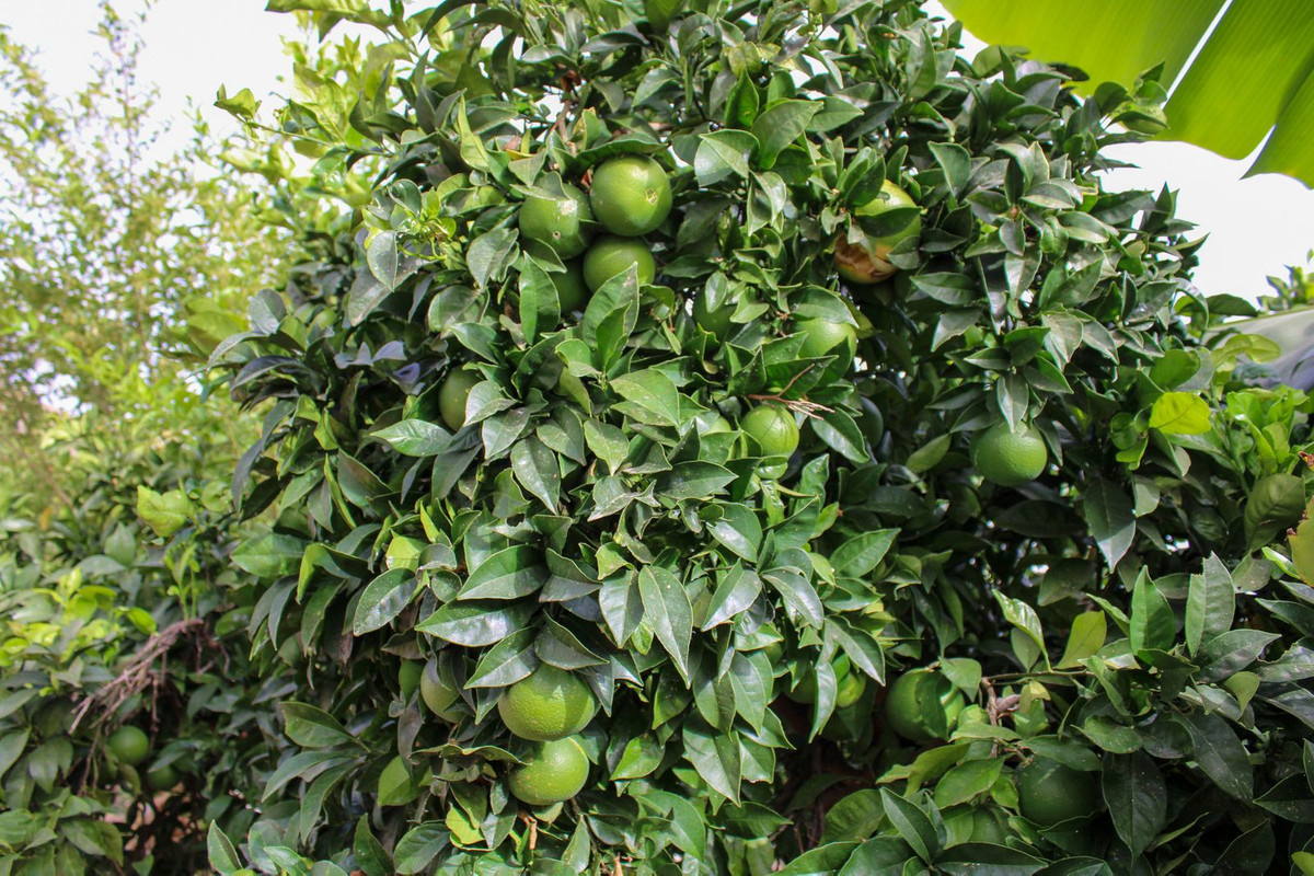 Te koop Vrijstaande Villa Costa Del Sol Nerja € 349.000,-