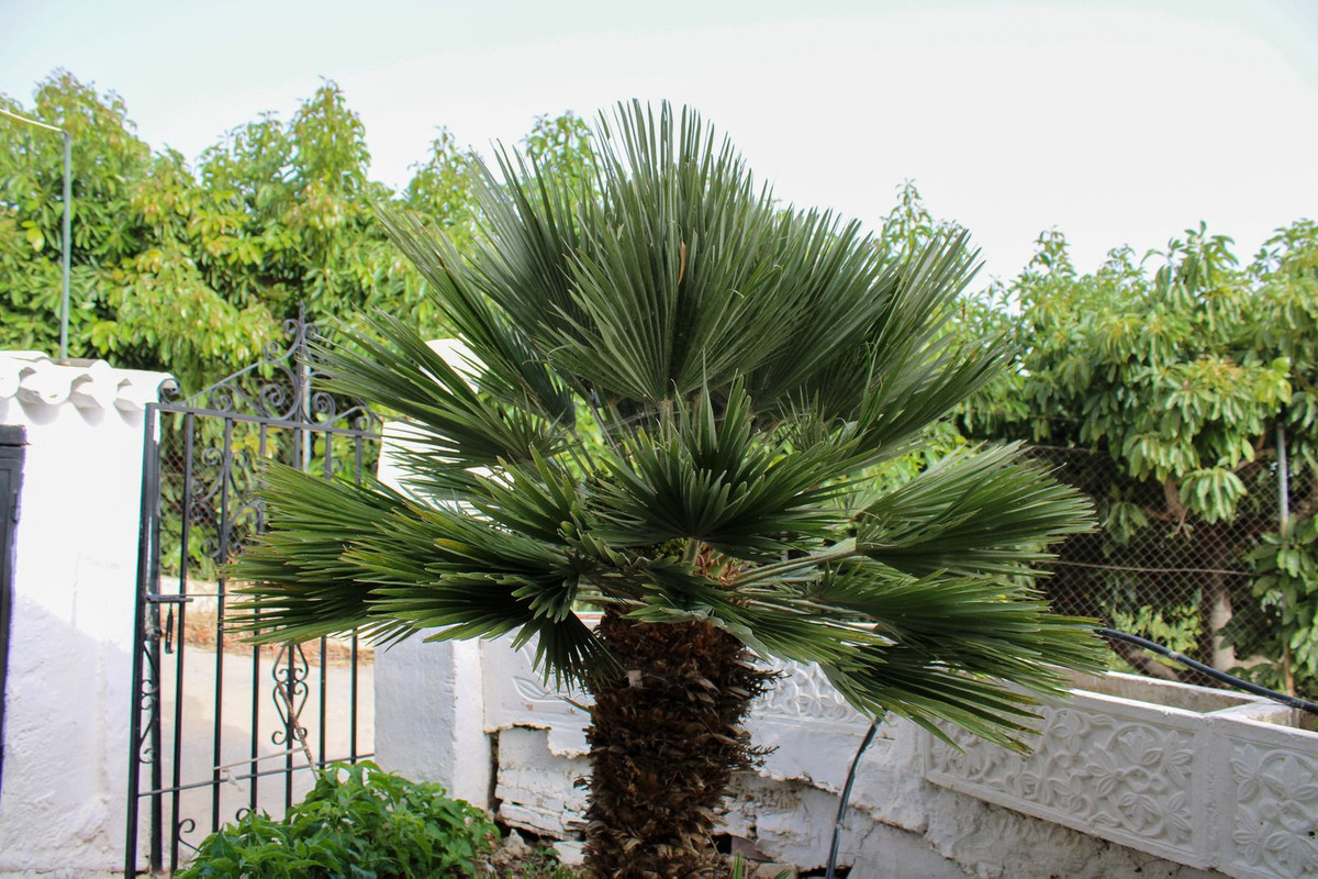 Te koop Vrijstaande Villa Costa Del Sol Nerja € 349.000,-