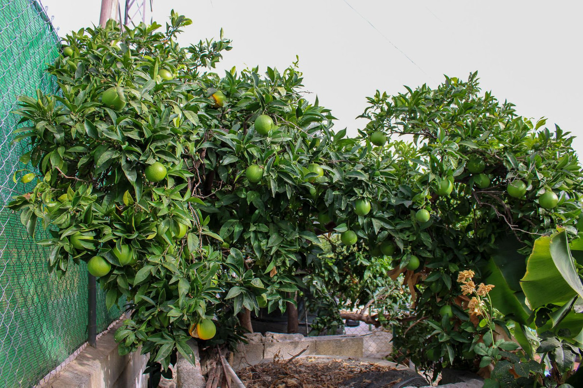 Te koop Vrijstaande Villa Costa Del Sol Nerja € 349.000,-