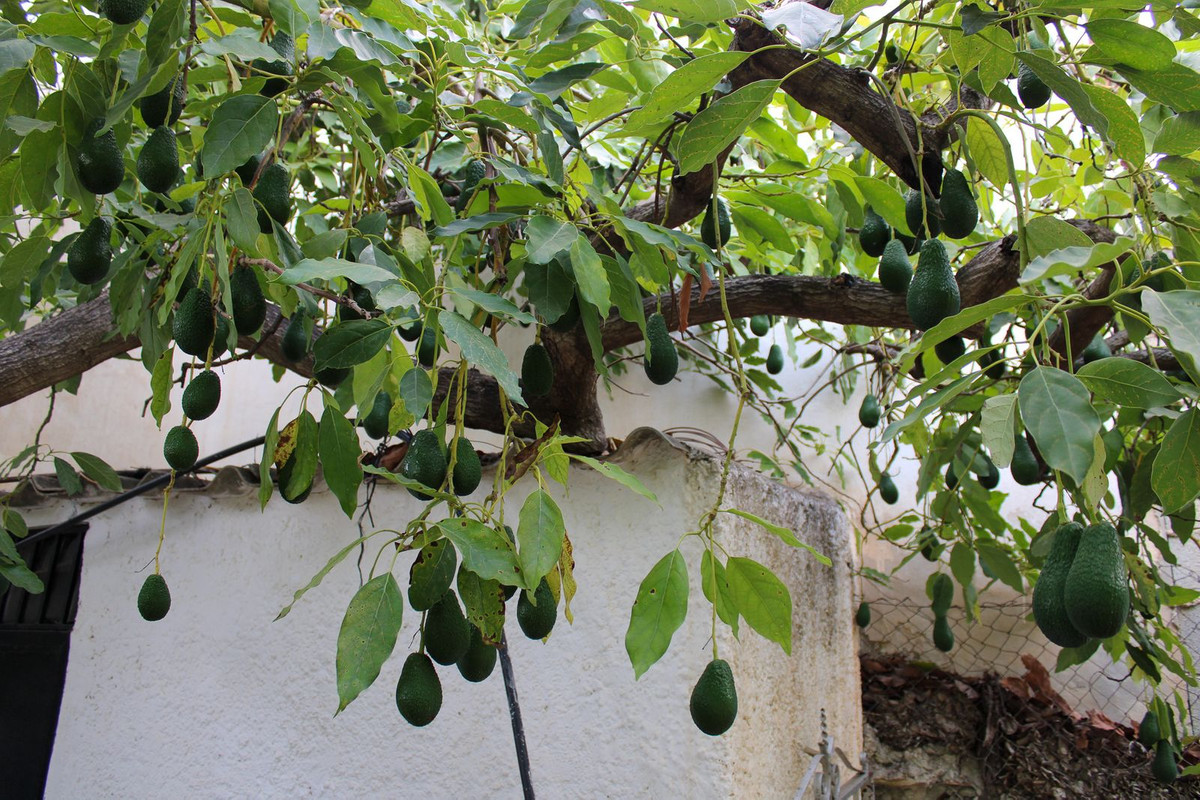 Te koop Vrijstaande Villa Costa Del Sol Nerja € 349.000,-