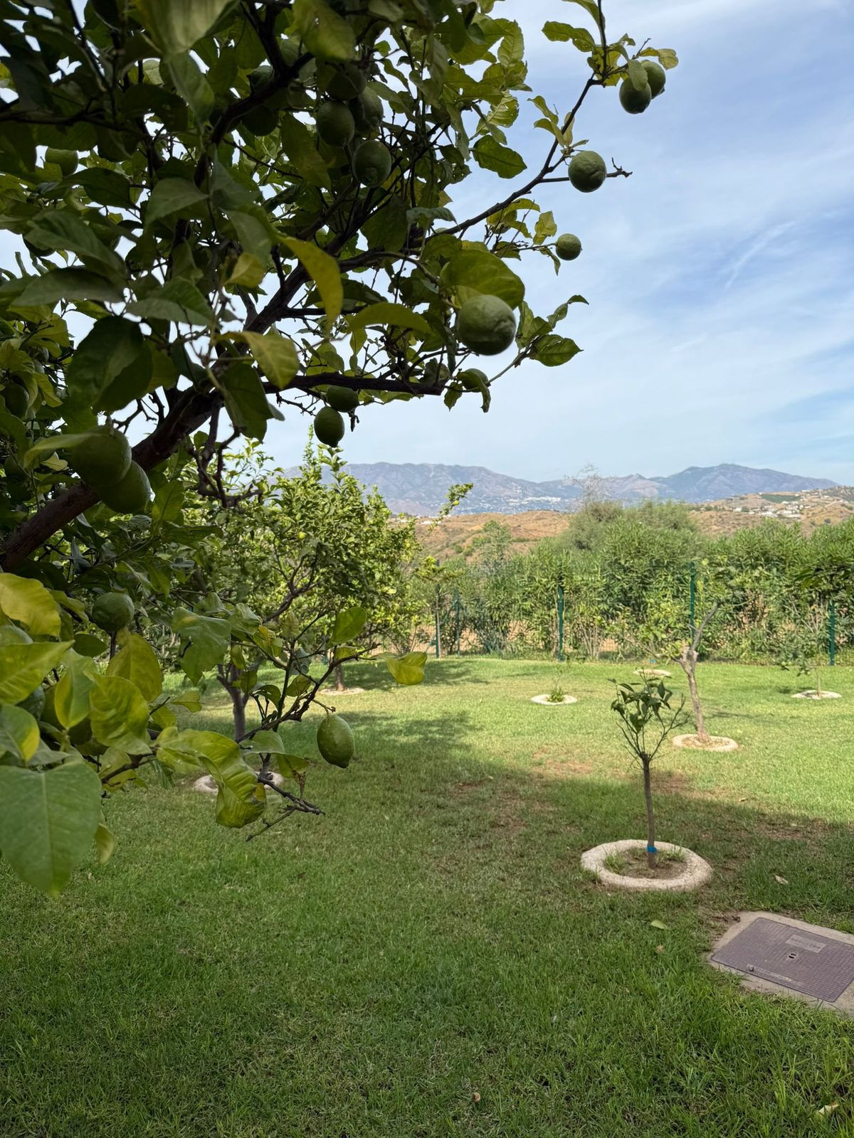 Te koop Gelijkvloers appartement Costa Del Sol La Cala € 360.000,-