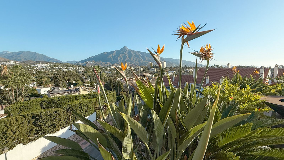 Te koop Penthouse Costa Del Sol Nueva Andalucía € 1.250.000,-