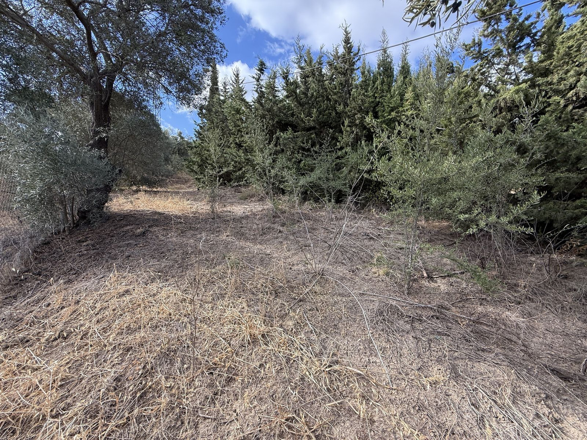 Te koop Finca - Cortijo Costa Del Sol Alhaurín De La Torre € 595.000,-