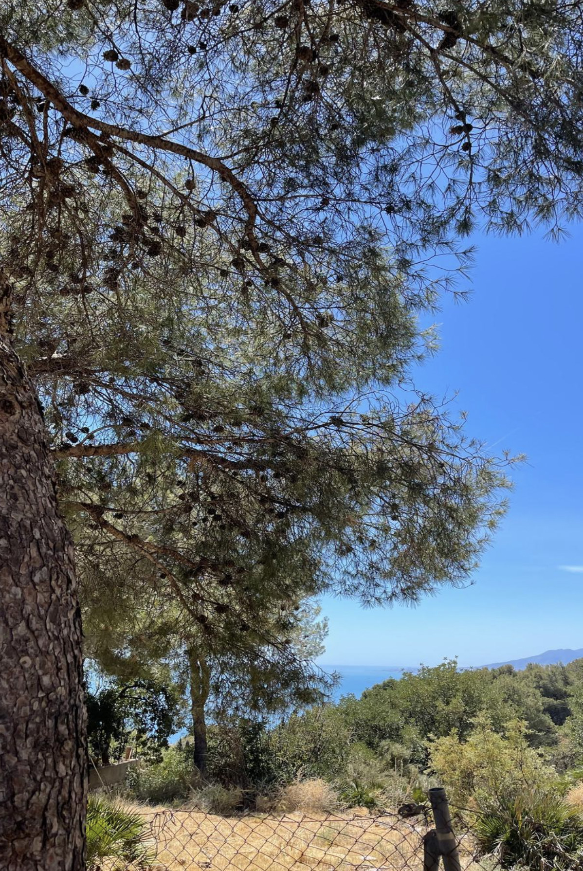 Te koop Grond Costa Del Sol Málaga Este € 1.000.000,-