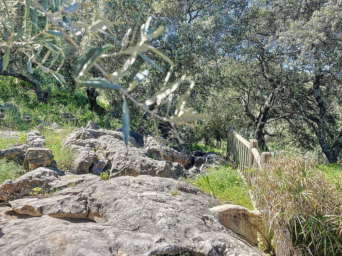 Te koop Finca - Cortijo Costa Del Sol Comares € 324.000,-