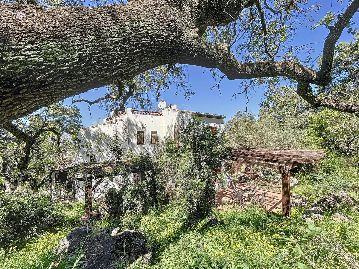 Te koop Finca - Cortijo Costa Del Sol Comares € 324.000,-