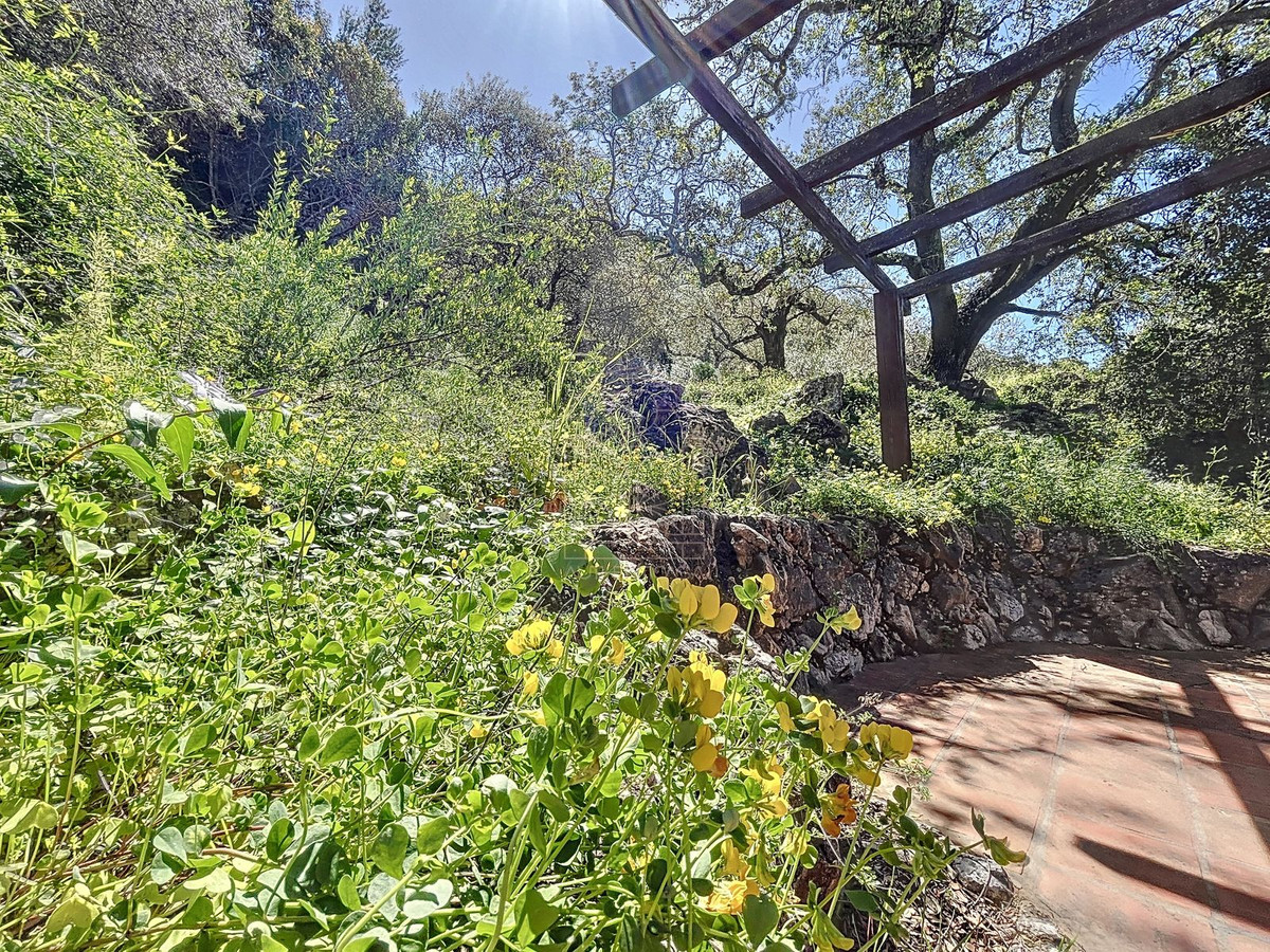 Te koop Finca - Cortijo Costa Del Sol Comares € 324.000,-