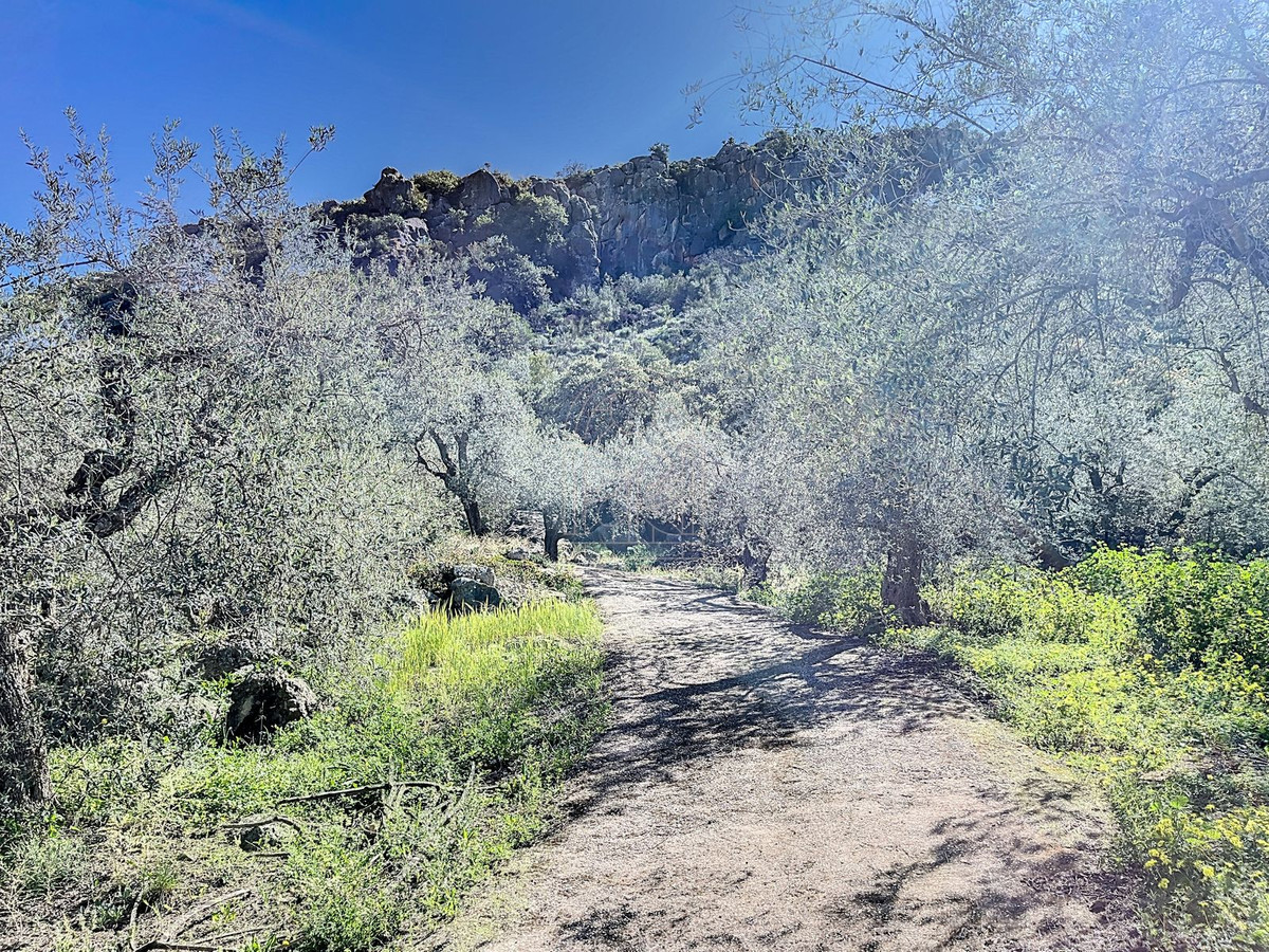 Te koop Finca - Cortijo Costa Del Sol Comares € 324.000,-