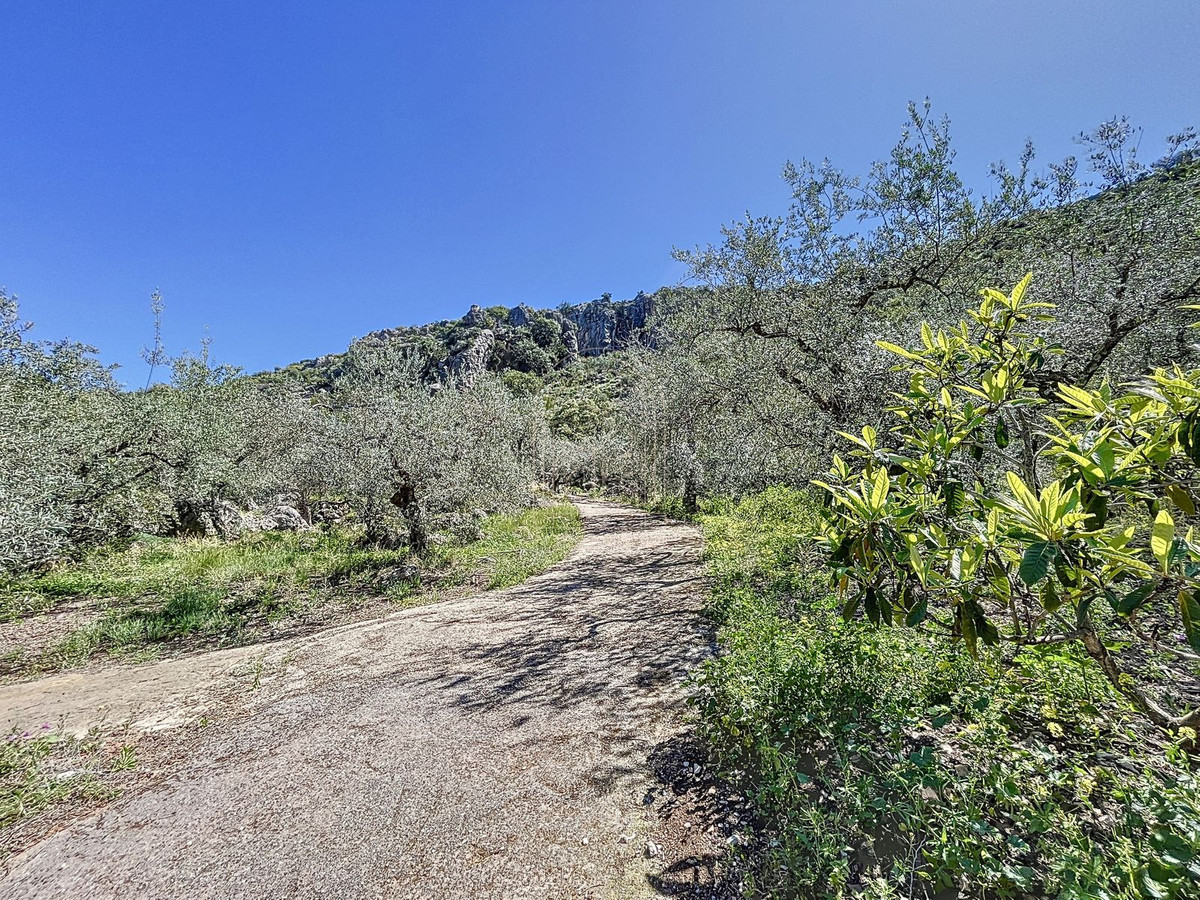 Te koop Finca - Cortijo Costa Del Sol Comares € 324.000,-