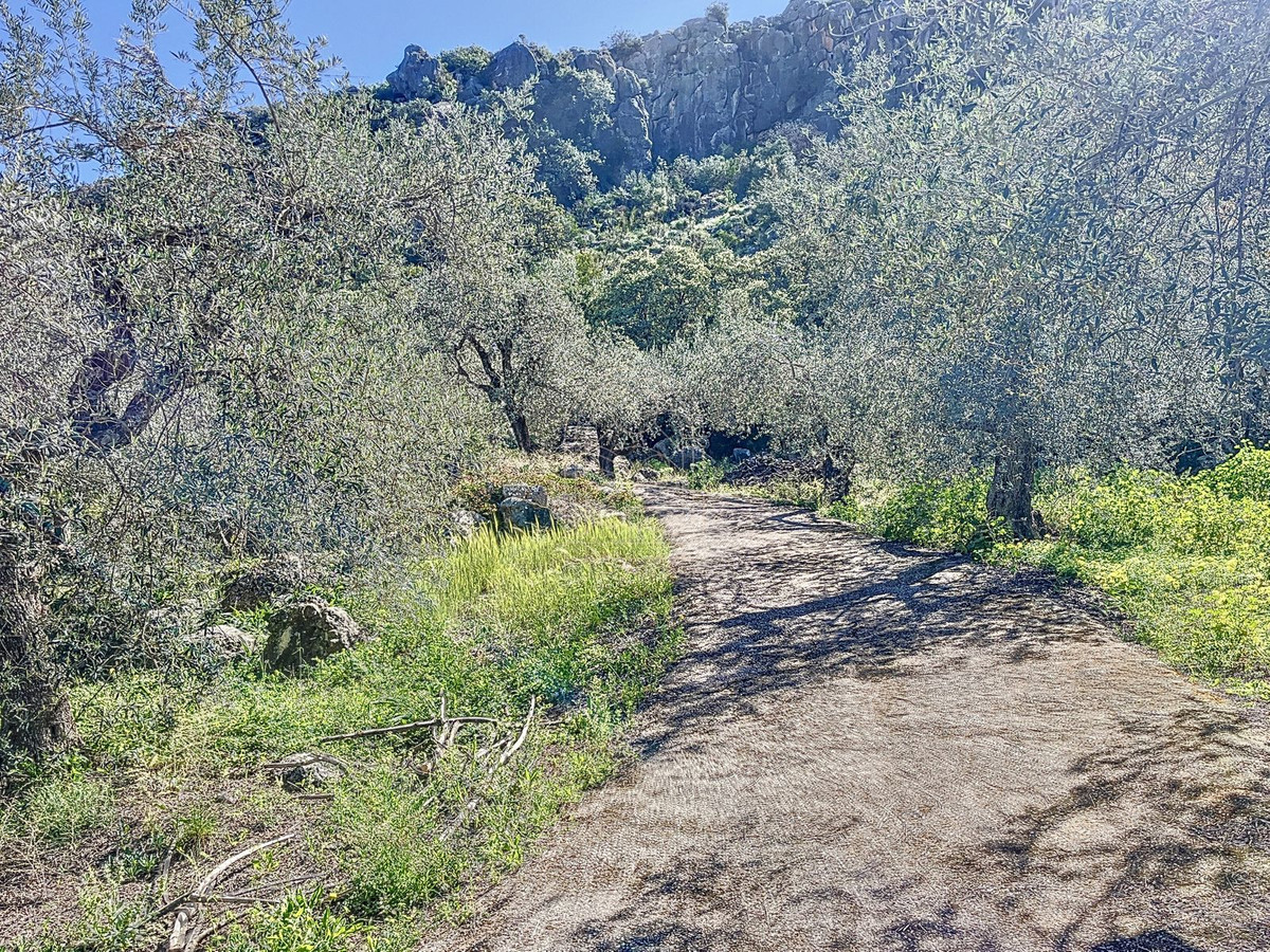 Te koop Finca - Cortijo Costa Del Sol Comares € 324.000,-