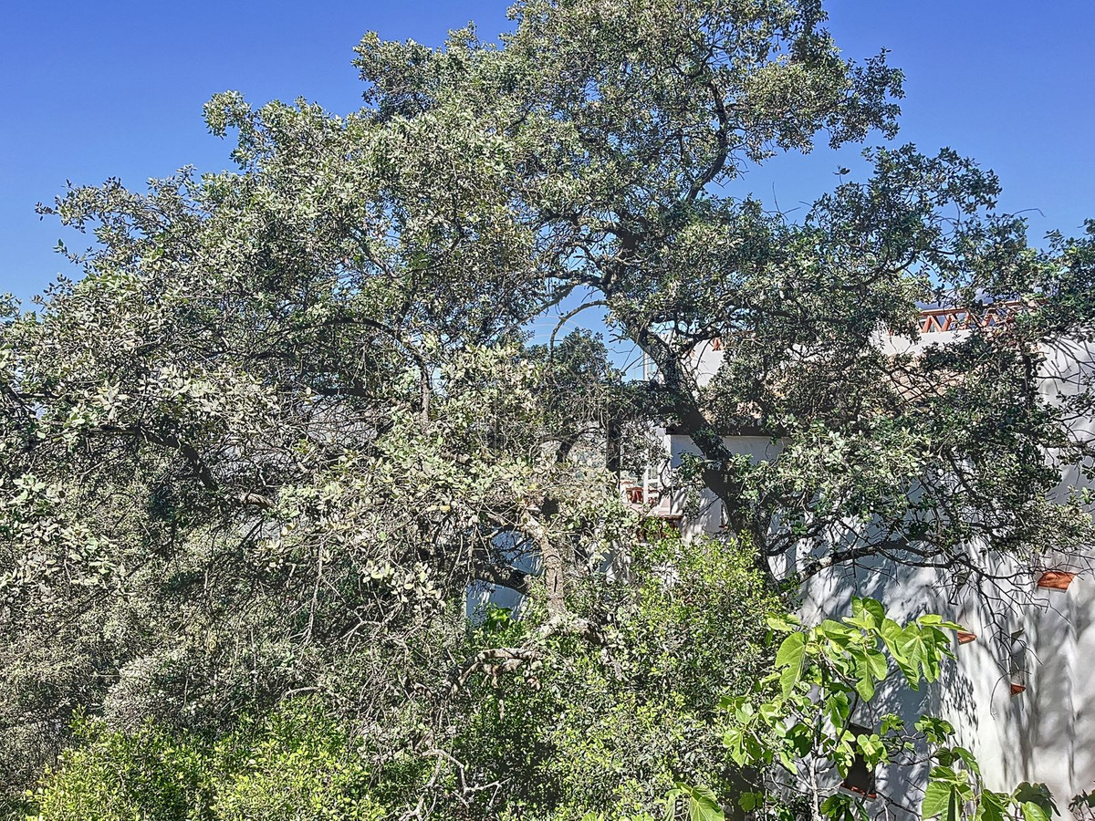 Te koop Finca - Cortijo Costa Del Sol Comares € 324.000,-