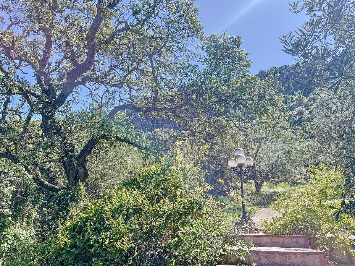 Te koop Finca - Cortijo Costa Del Sol Comares € 324.000,-