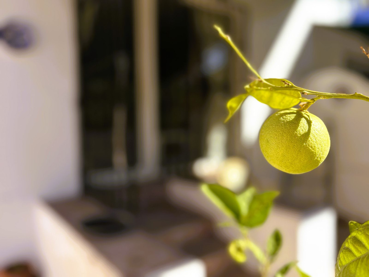 Te koop Gelijkvloers appartement Costa Del Sol La Duquesa € 275.000,-