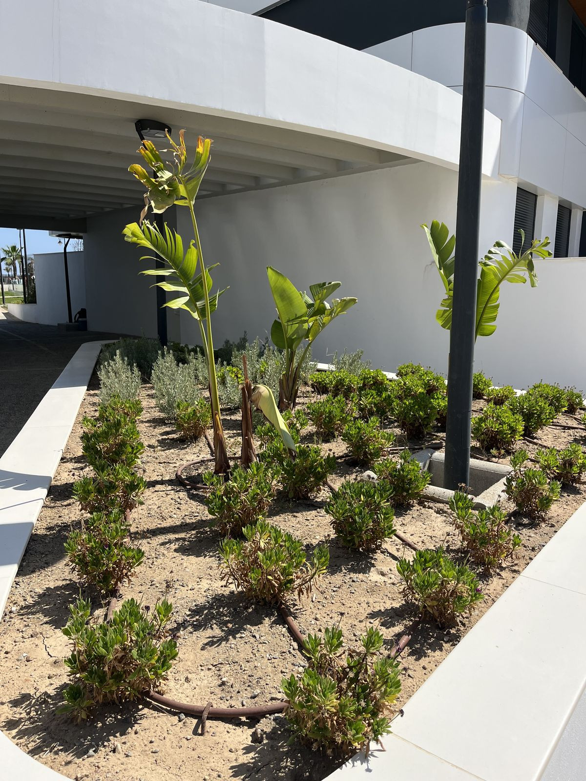 Te koop Penthouse Costa Del Sol Los Alamos € 1.975.000,-