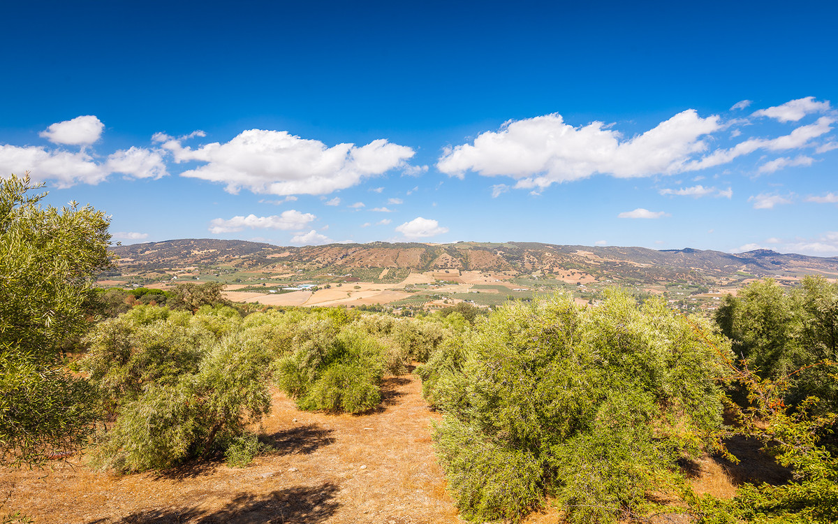 Te koop Finca - Cortijo Costa Del Sol Ronda € 595.000,-