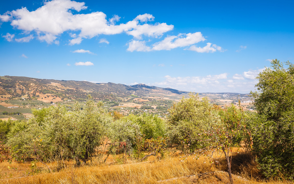 Te koop Finca - Cortijo Costa Del Sol Ronda € 595.000,-