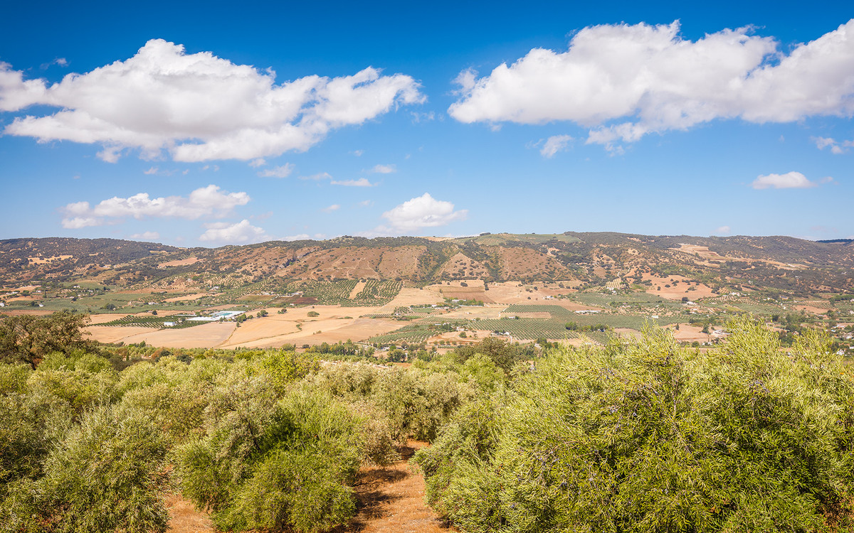 Te koop Finca - Cortijo Costa Del Sol Ronda € 595.000,-