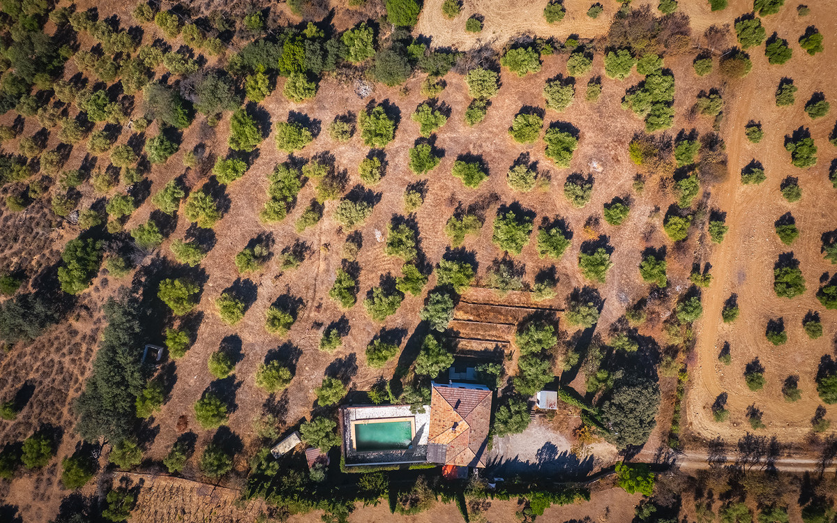 Te koop Finca - Cortijo Costa Del Sol Ronda € 595.000,-
