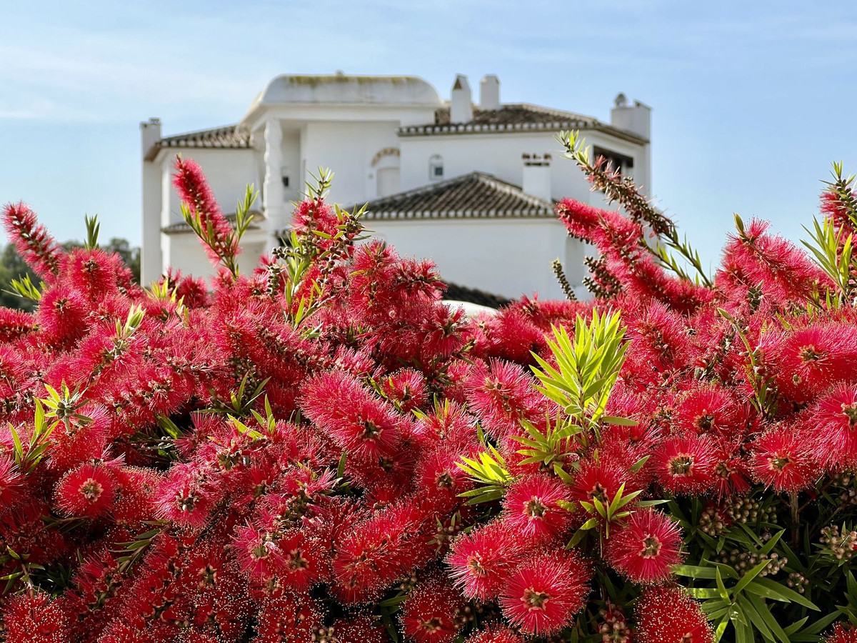 Te koop Gelijkvloers appartement Costa Del Sol Elviria € 280.000,-