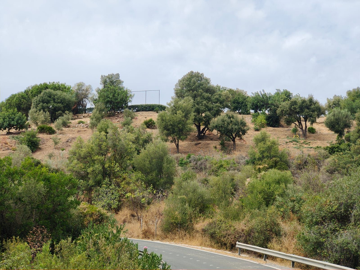 Te koop Grond Costa Del Sol Istán € 4.000.000,-