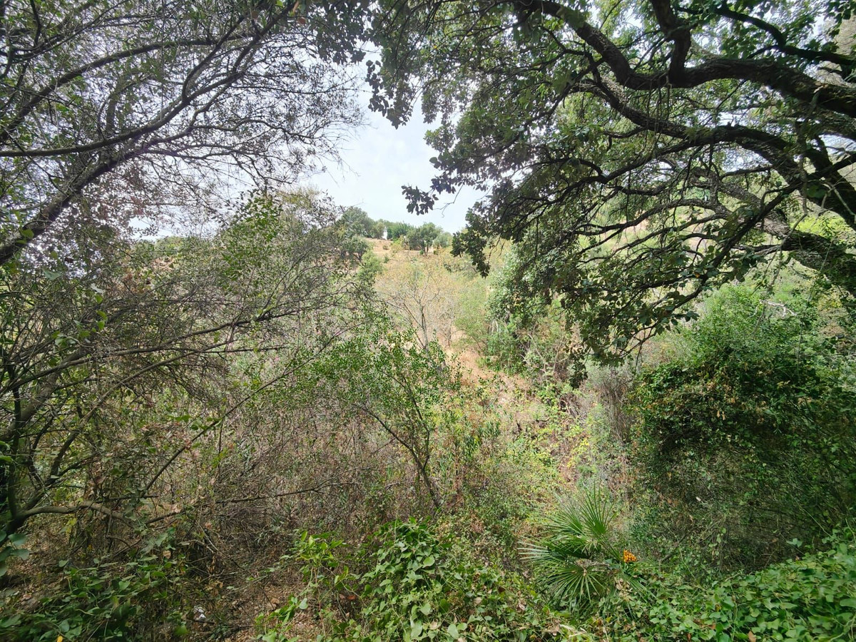 Te koop Grond Costa Del Sol Istán € 4.000.000,-