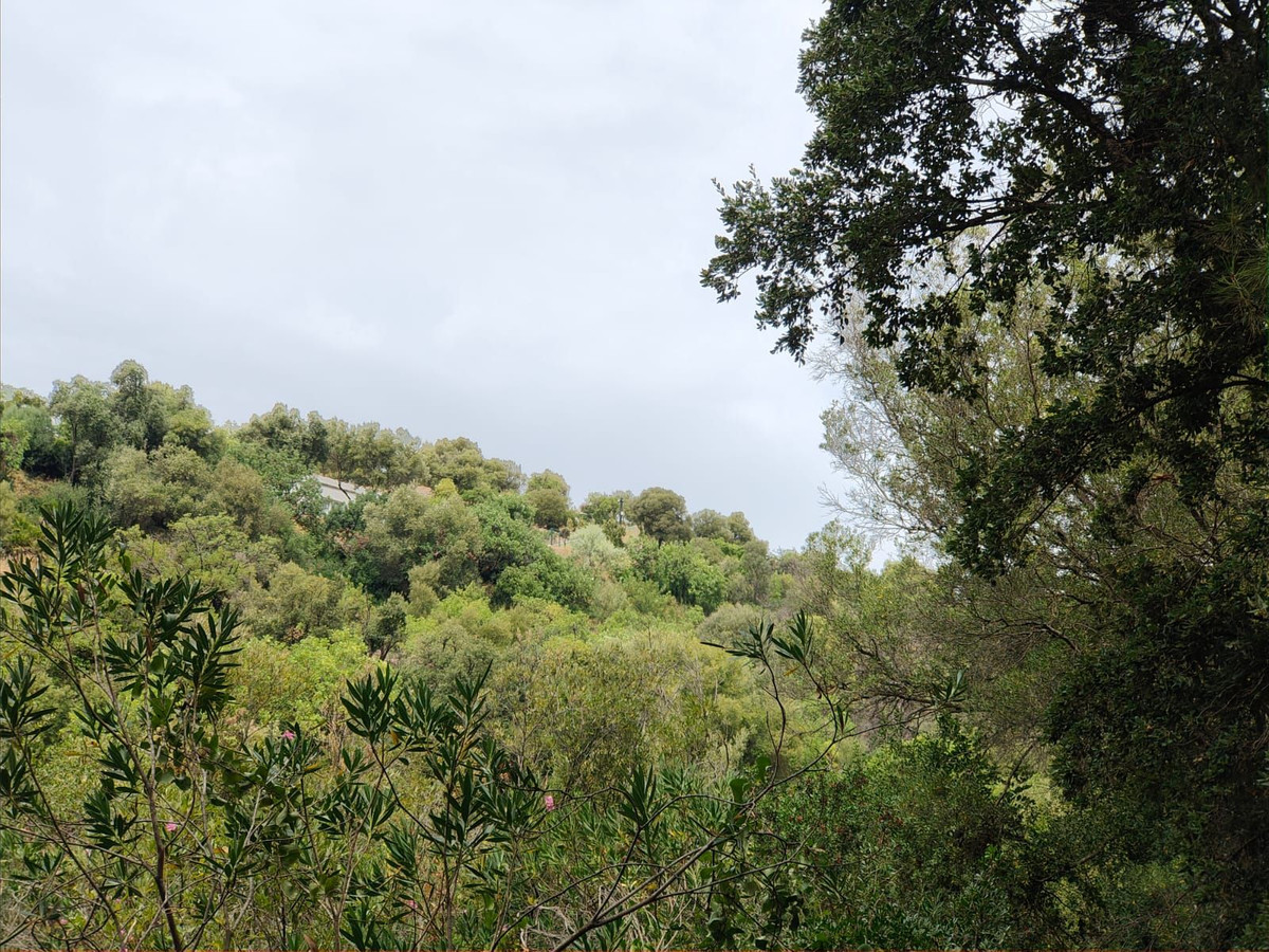 Te koop Grond Costa Del Sol Istán € 4.000.000,-