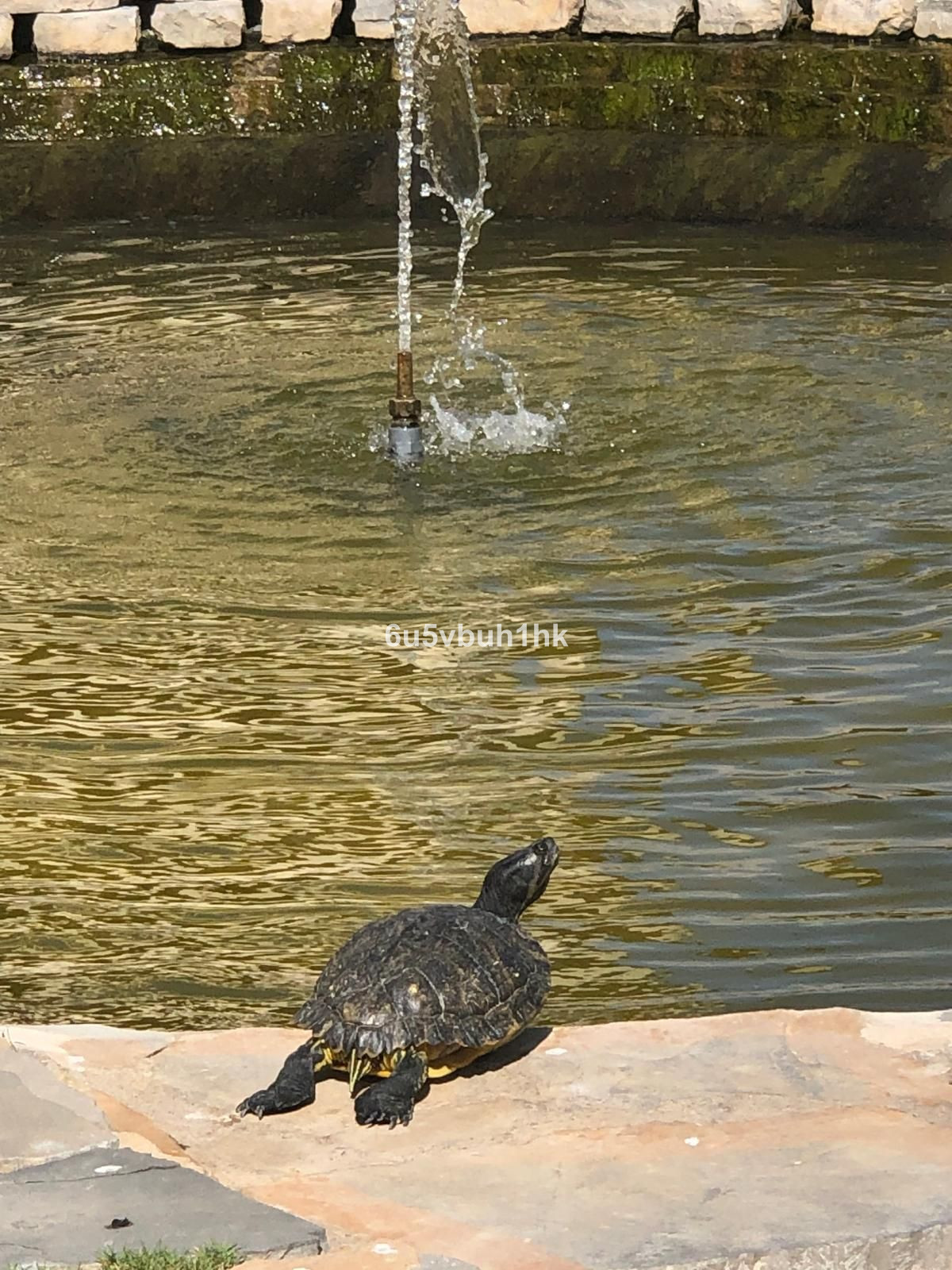 Te koop Gelijkvloers appartement Costa Del Sol El Faro € 395.000,-