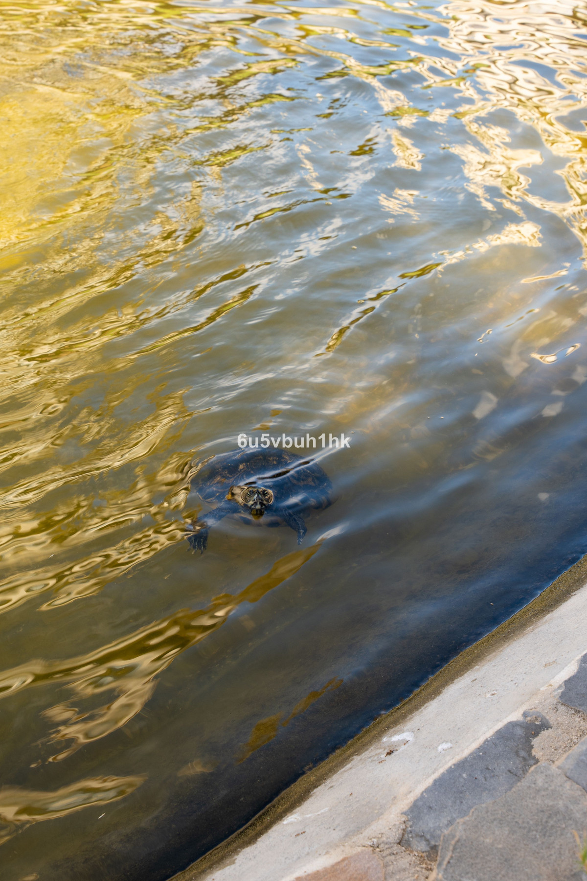 Te koop Gelijkvloers appartement Costa Del Sol El Faro € 395.000,-