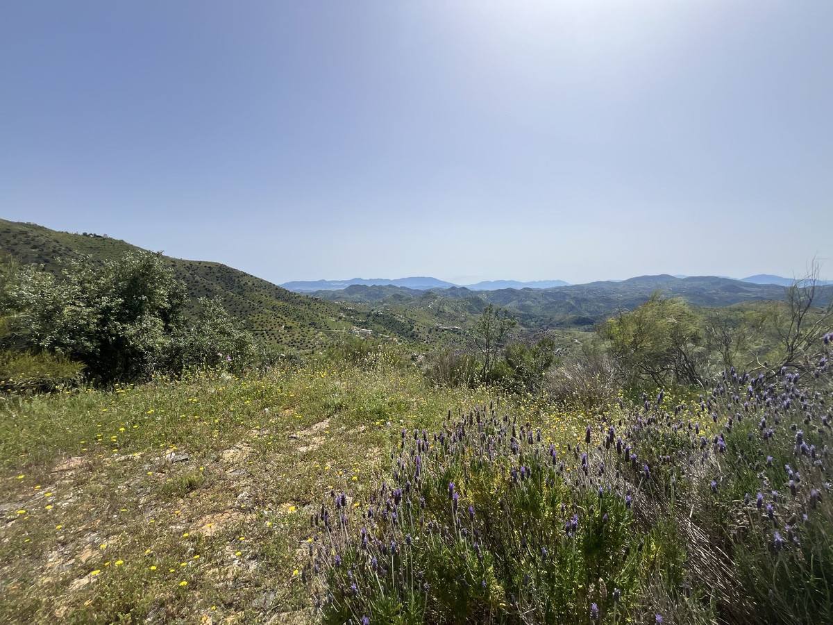 Te koop Finca - Cortijo Costa Del Sol Almogía € 299.000,-