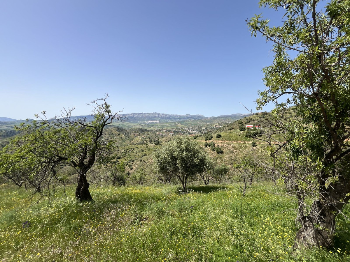 Te koop Finca - Cortijo Costa Del Sol Almogía € 299.000,-