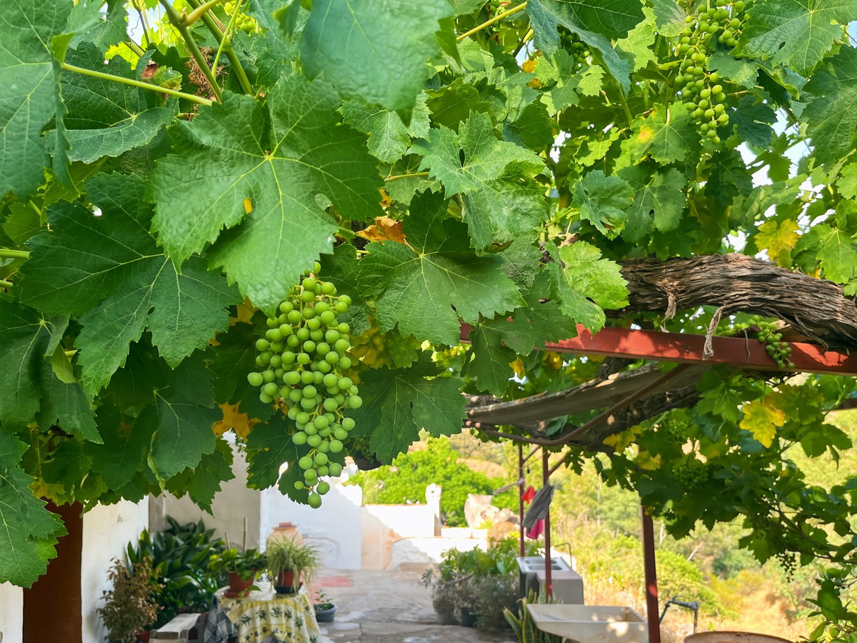 Te koop Finca - Cortijo Costa Del Sol Comares € 288.000,-