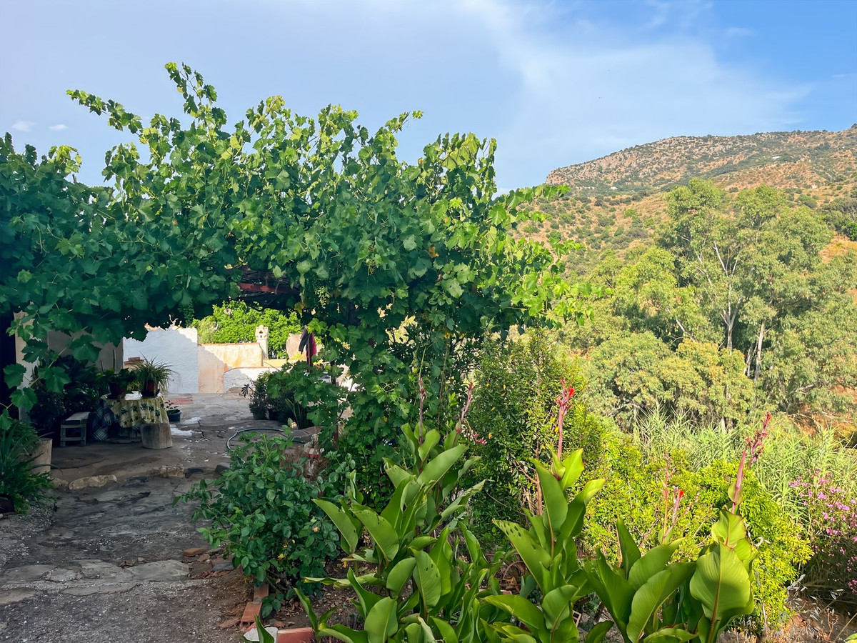 Te koop Finca - Cortijo Costa Del Sol Comares € 288.000,-