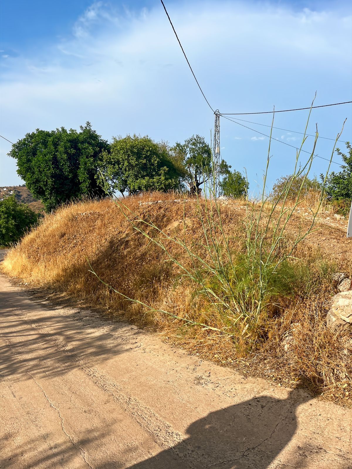 Te koop Finca - Cortijo Costa Del Sol Comares € 288.000,-