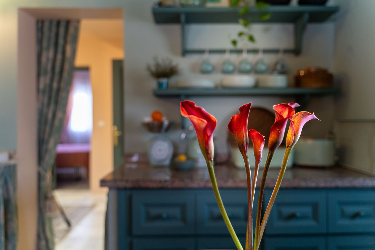 Te koop Herenhuis Costa Del Sol San Pedro De Alcántara € 690.000,-