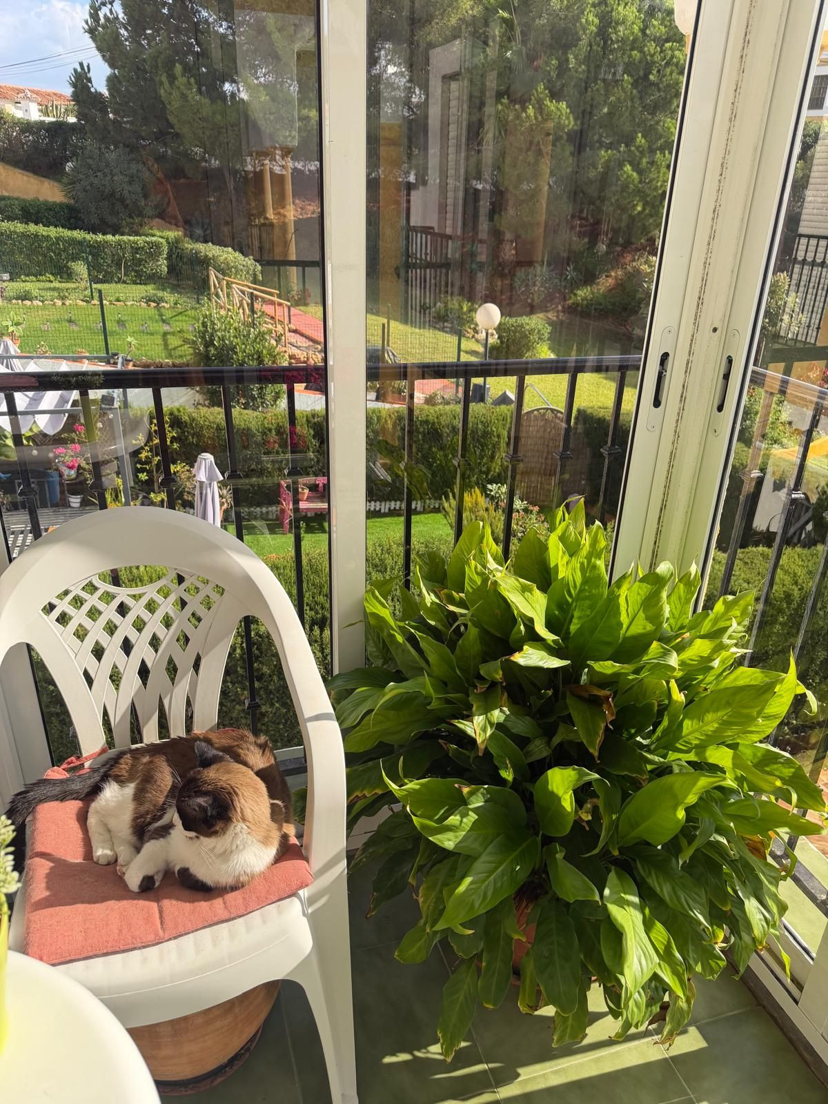 Te koop Middle Floor Apartment Costa Del Sol El Faro € 219.000,-