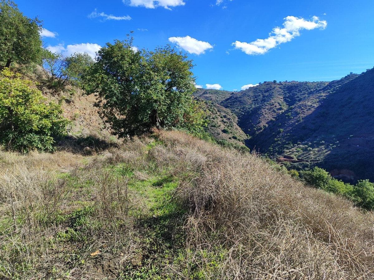 Te koop Grond Costa Del Sol Almogía € 320.000,-