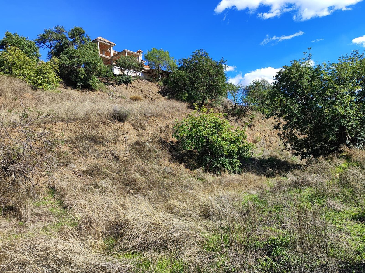 Te koop Grond Costa Del Sol Almogía € 320.000,-