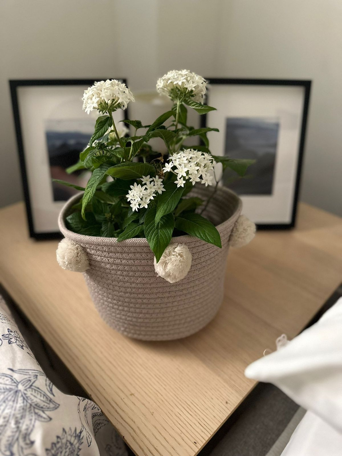 Te koop Middle Floor Apartment Costa Del Sol Marbella € 479.000,-