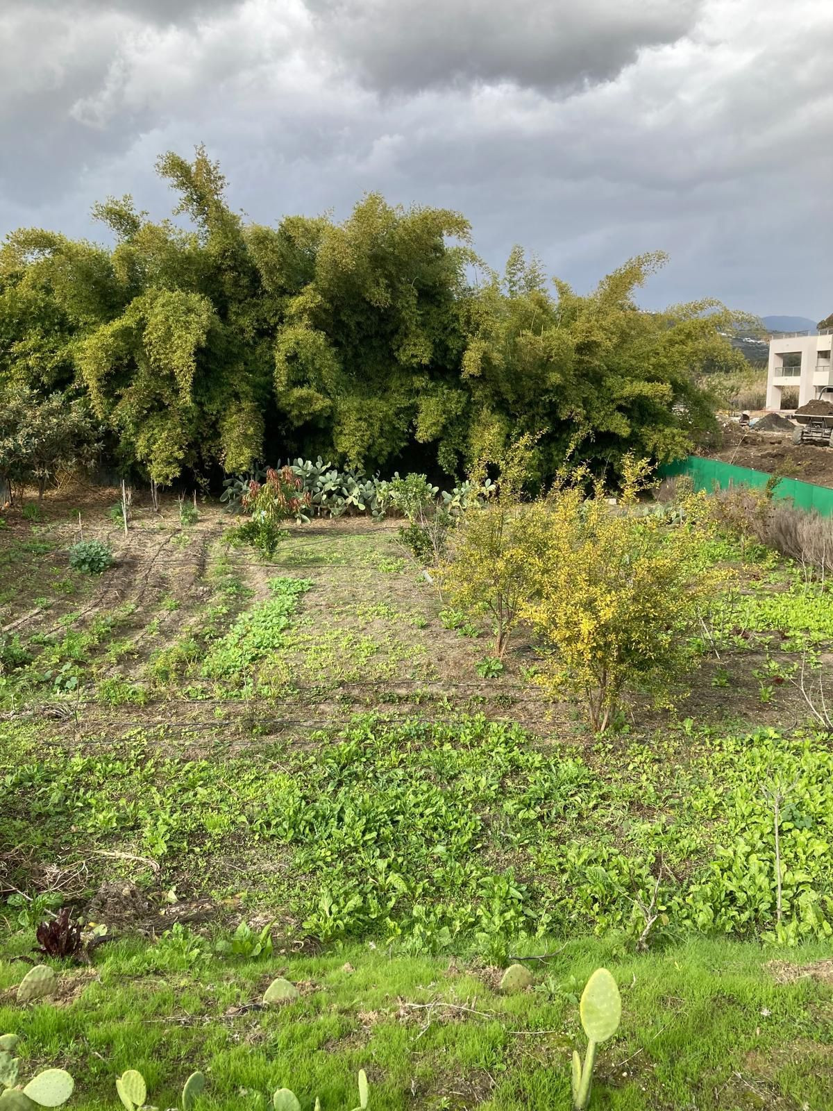 Te koop Residential Plot Costa Del Sol Casares € 3.200.000,-