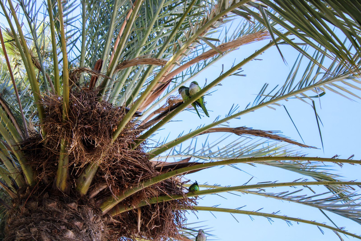 Te koop Half vrijstaand huis Costa Del Sol Torre Del Mar € 399.000,-