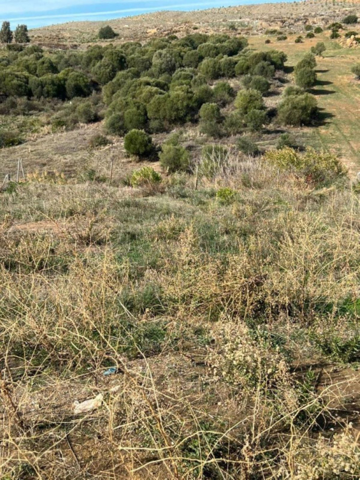 Te koop Residential Plot Costa Del Sol Guadalmina Alta € 980.000,-