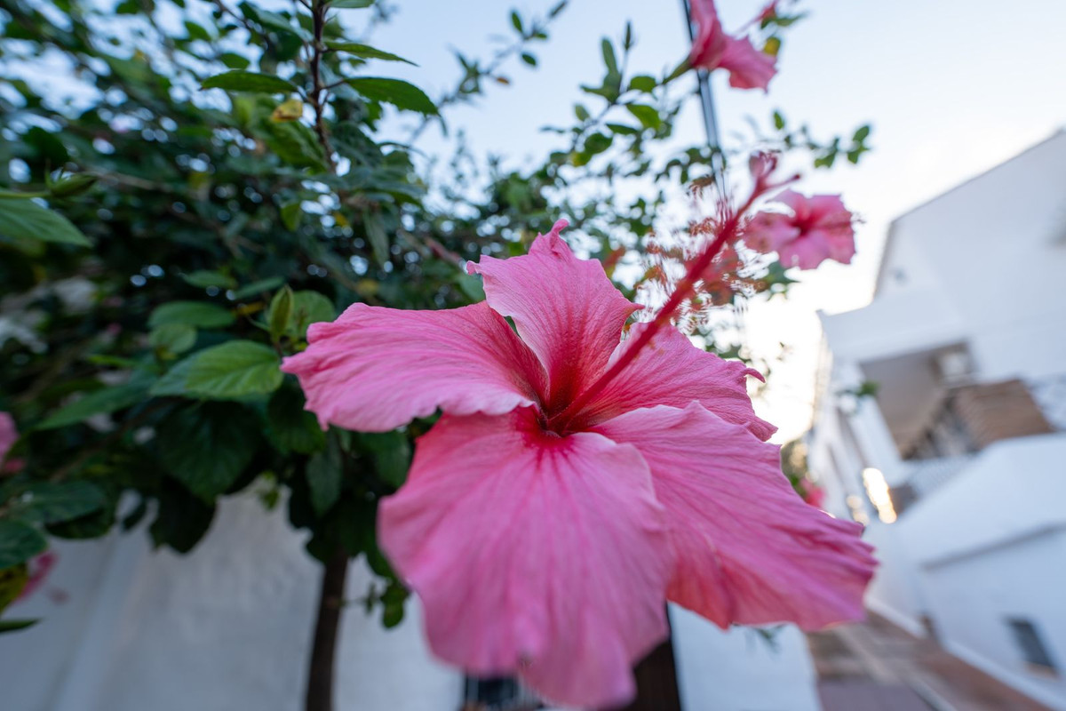 Te koop Middle Floor Apartment Costa Del Sol Torreblanca € 279.000,-