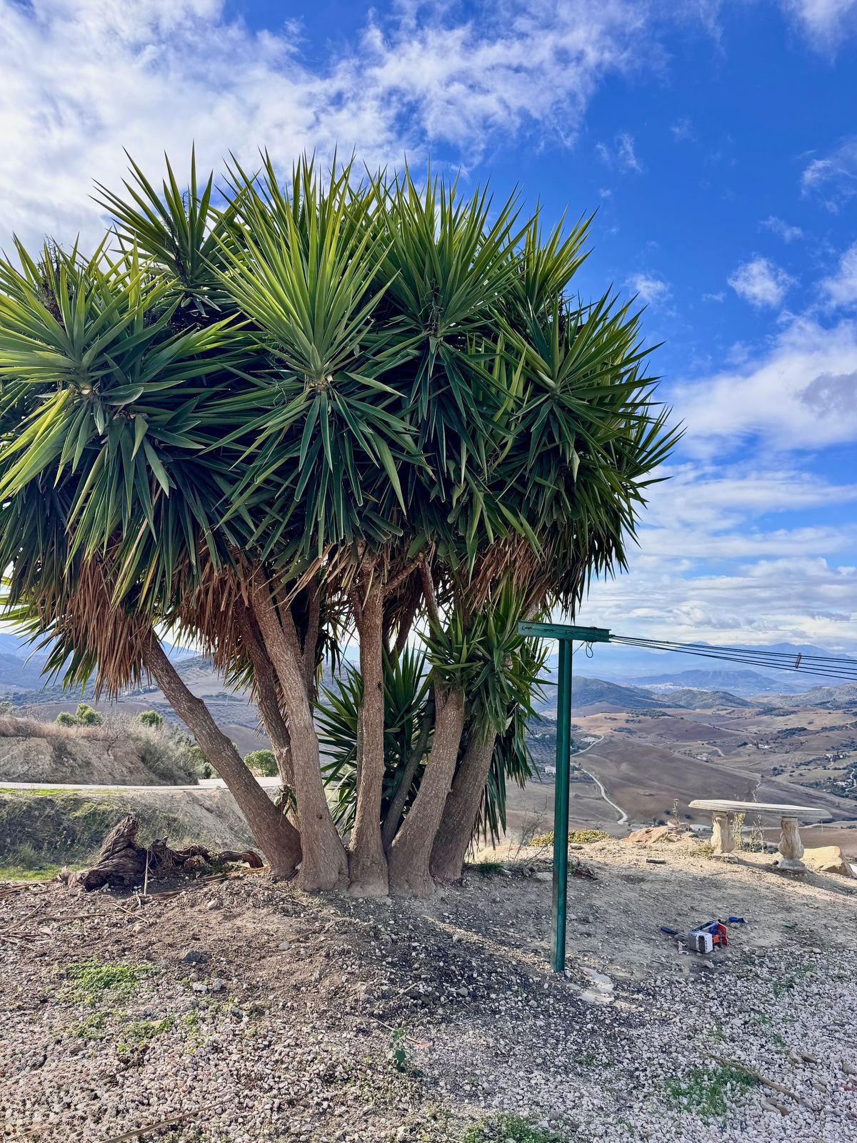 Te koop Finca - Cortijo Costa Del Sol Villanueva De La Concepcion € 285.000,-